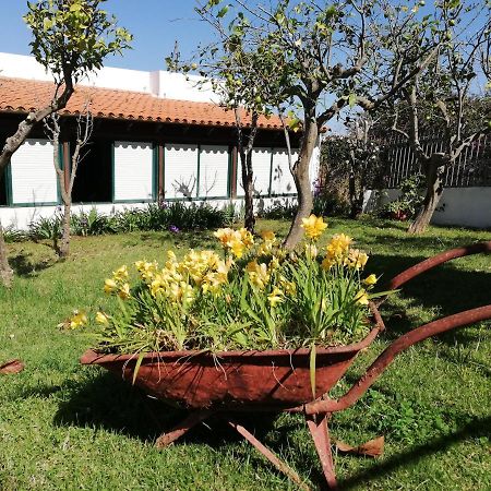 Casa Rural Limon Y Sol Sauzal Bagian luar foto