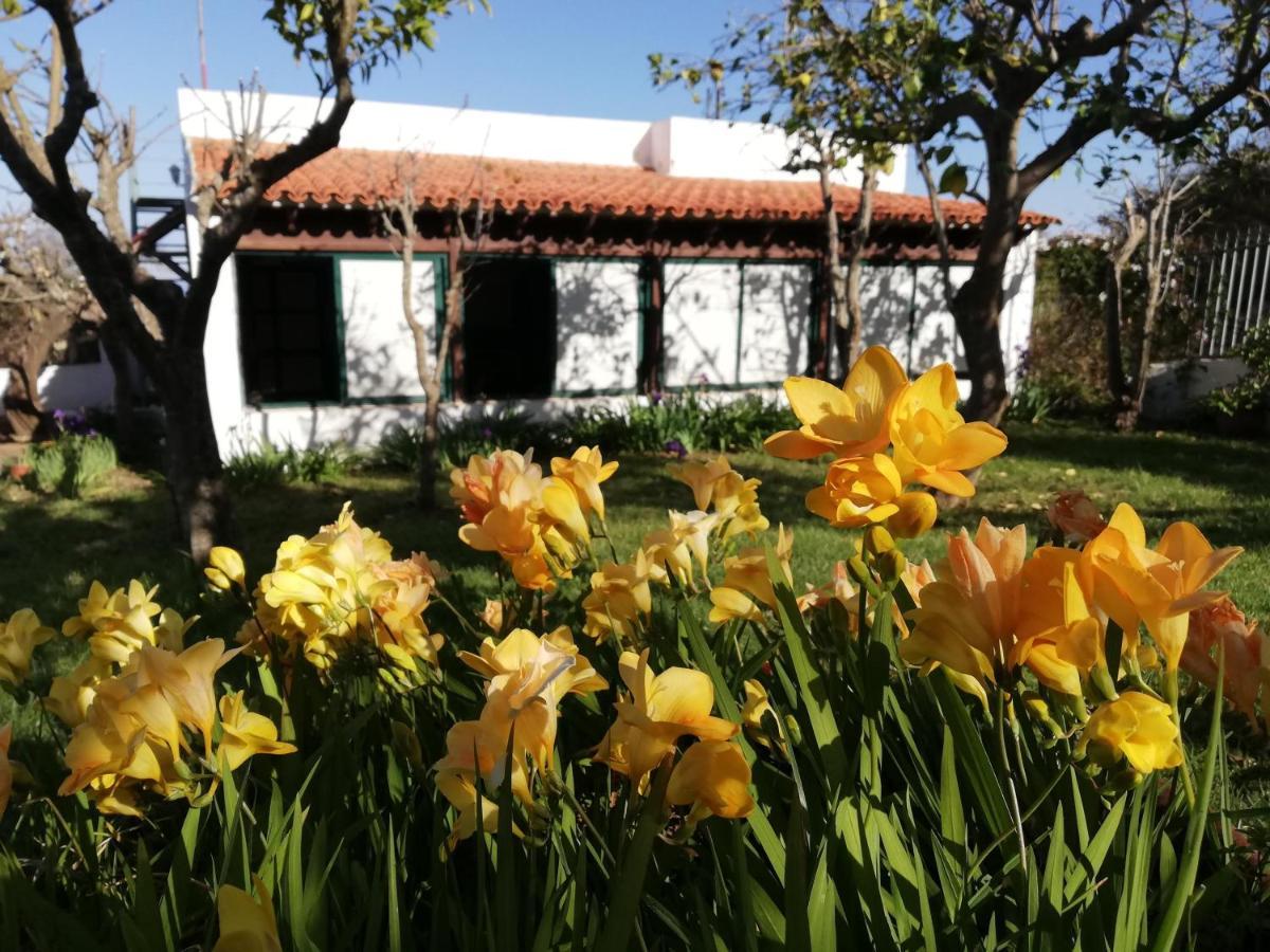 Casa Rural Limon Y Sol Sauzal Bagian luar foto