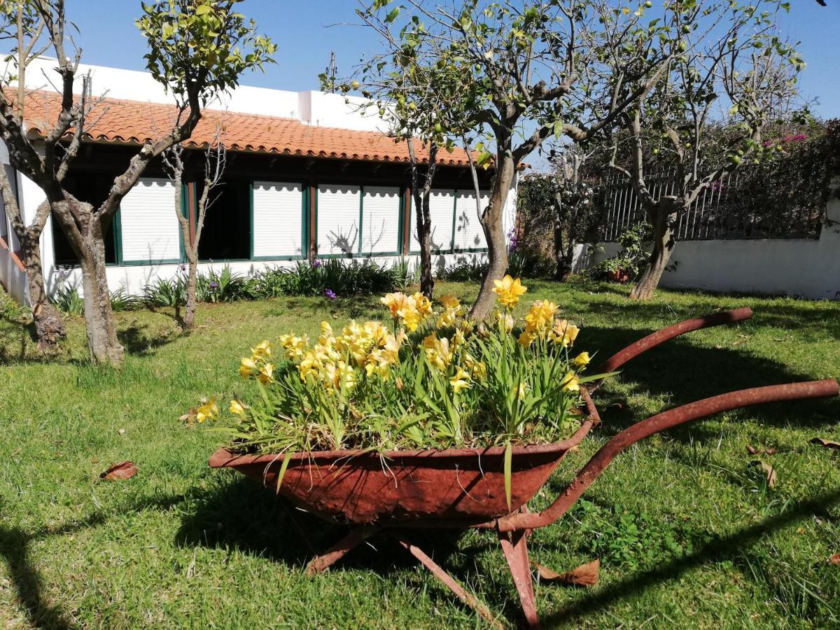 Casa Rural Limon Y Sol Sauzal Bagian luar foto