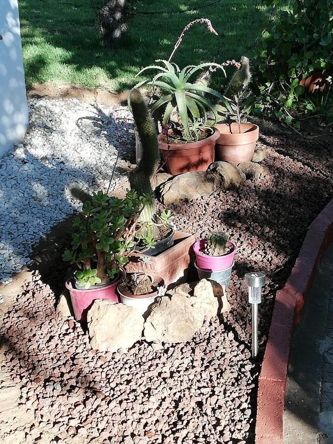 Casa Rural Limon Y Sol Sauzal Bagian luar foto