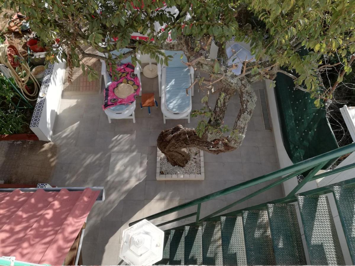 Casa Rural Limon Y Sol Sauzal Bagian luar foto