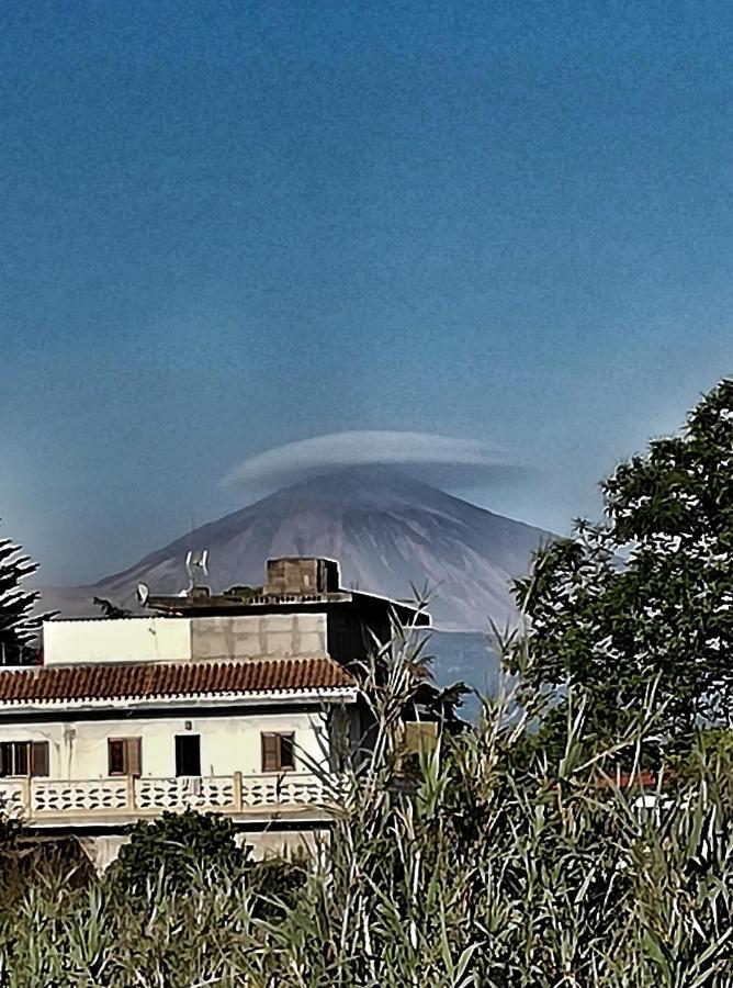 Casa Rural Limon Y Sol Sauzal Bagian luar foto