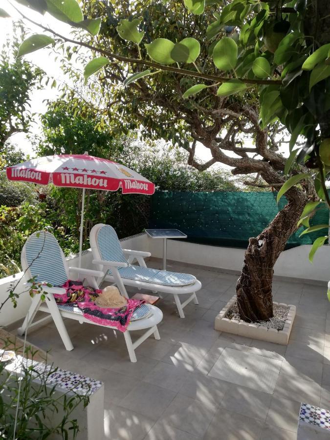 Casa Rural Limon Y Sol Sauzal Bagian luar foto