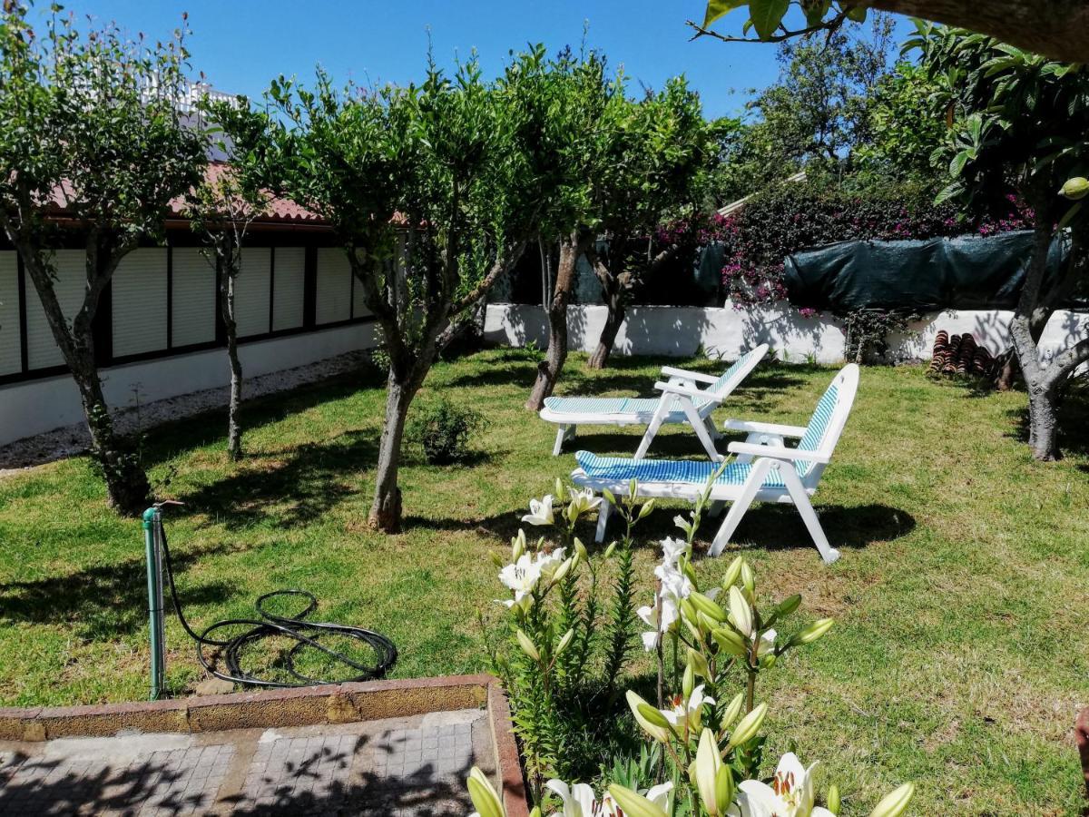 Casa Rural Limon Y Sol Sauzal Bagian luar foto