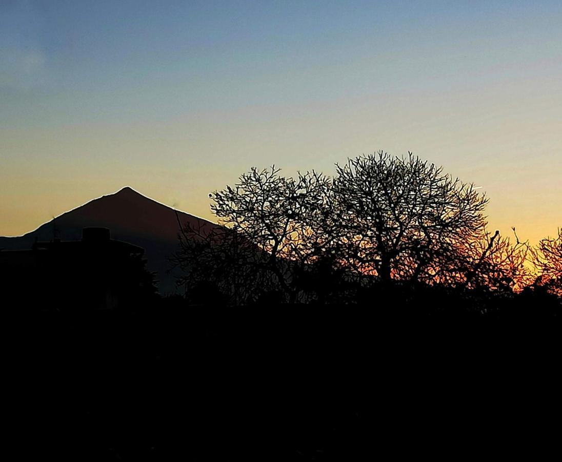 Casa Rural Limon Y Sol Sauzal Bagian luar foto