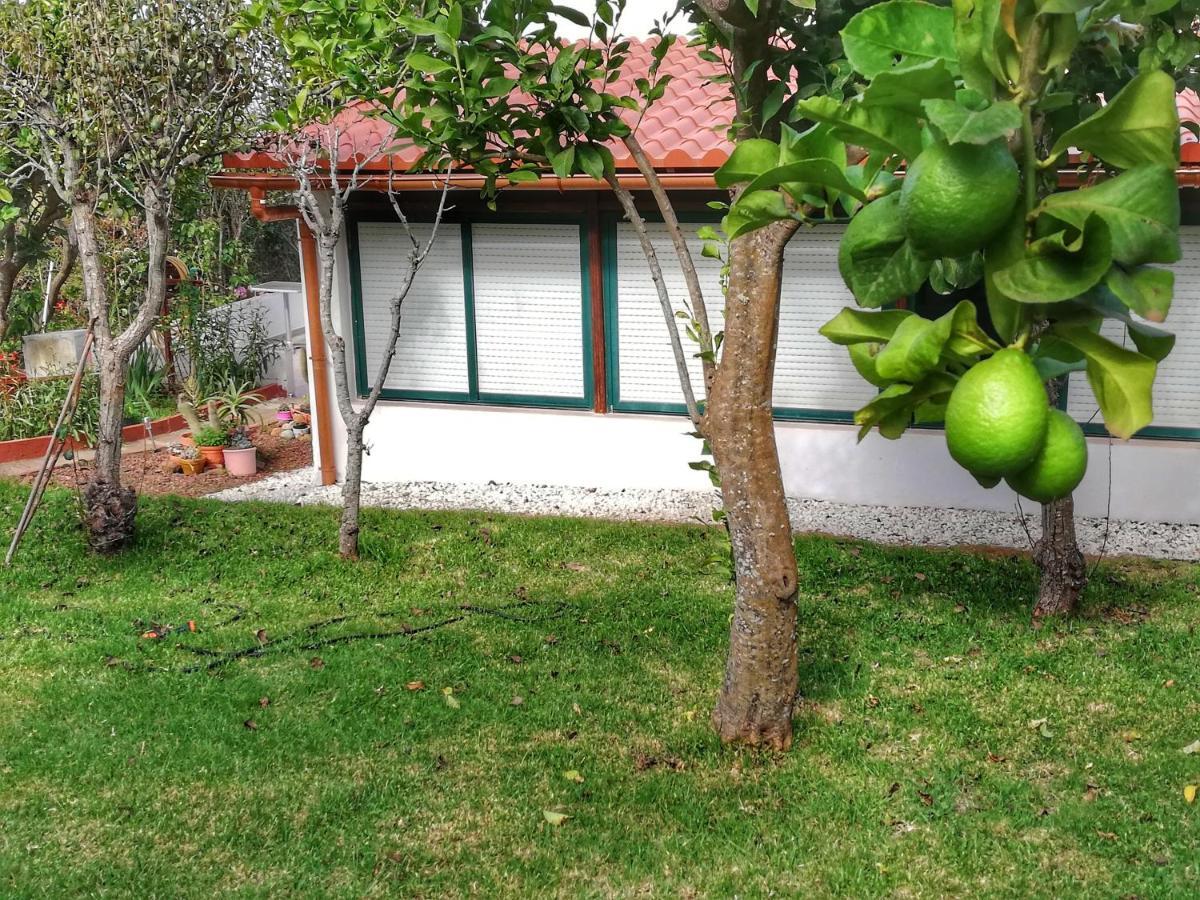 Casa Rural Limon Y Sol Sauzal Bagian luar foto