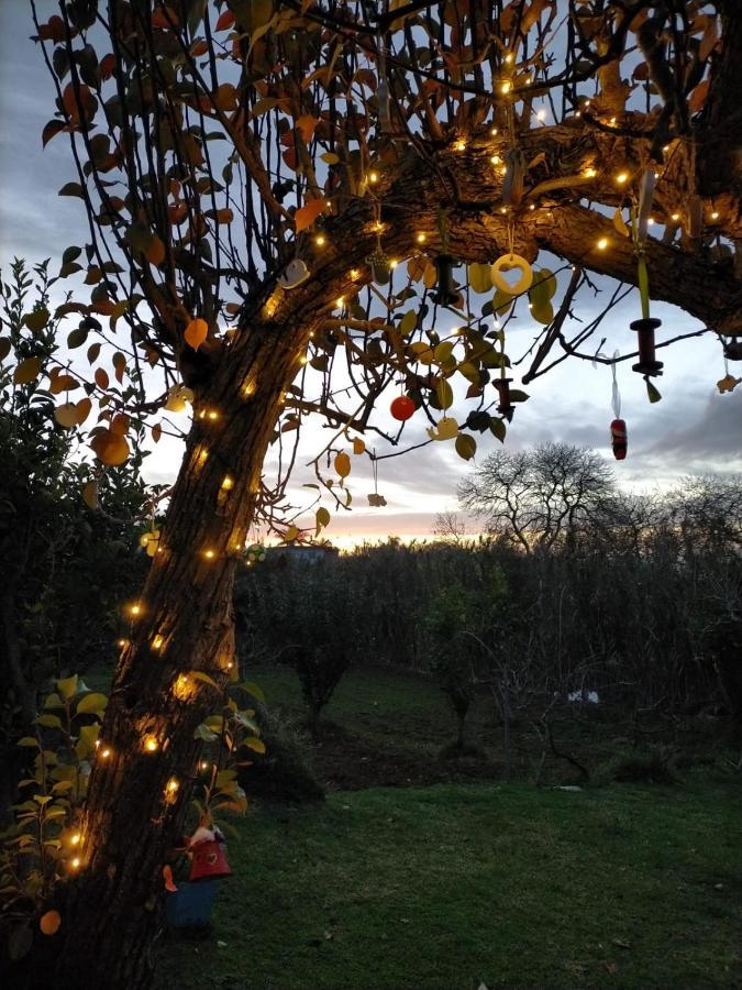 Casa Rural Limon Y Sol Sauzal Bagian luar foto